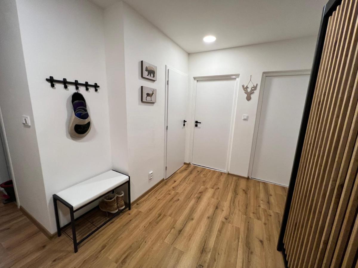 Apartment Visek Jáchymov