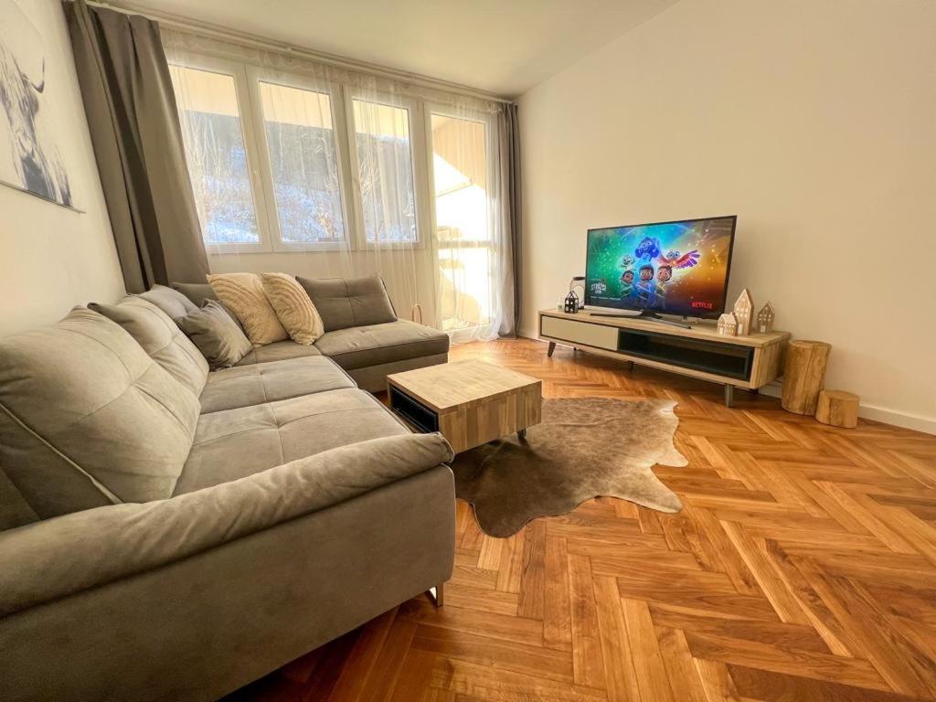 Apartment Visek Jáchymov