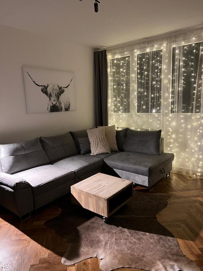 Apartment Visek *