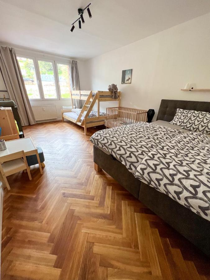 Visek Apartment *
